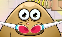 Pou: Dokter Hidung